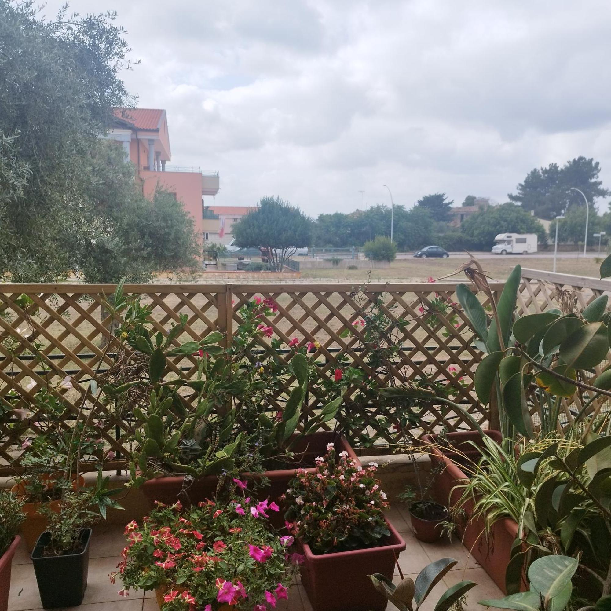 Alghero Lovely Flat エクステリア 写真