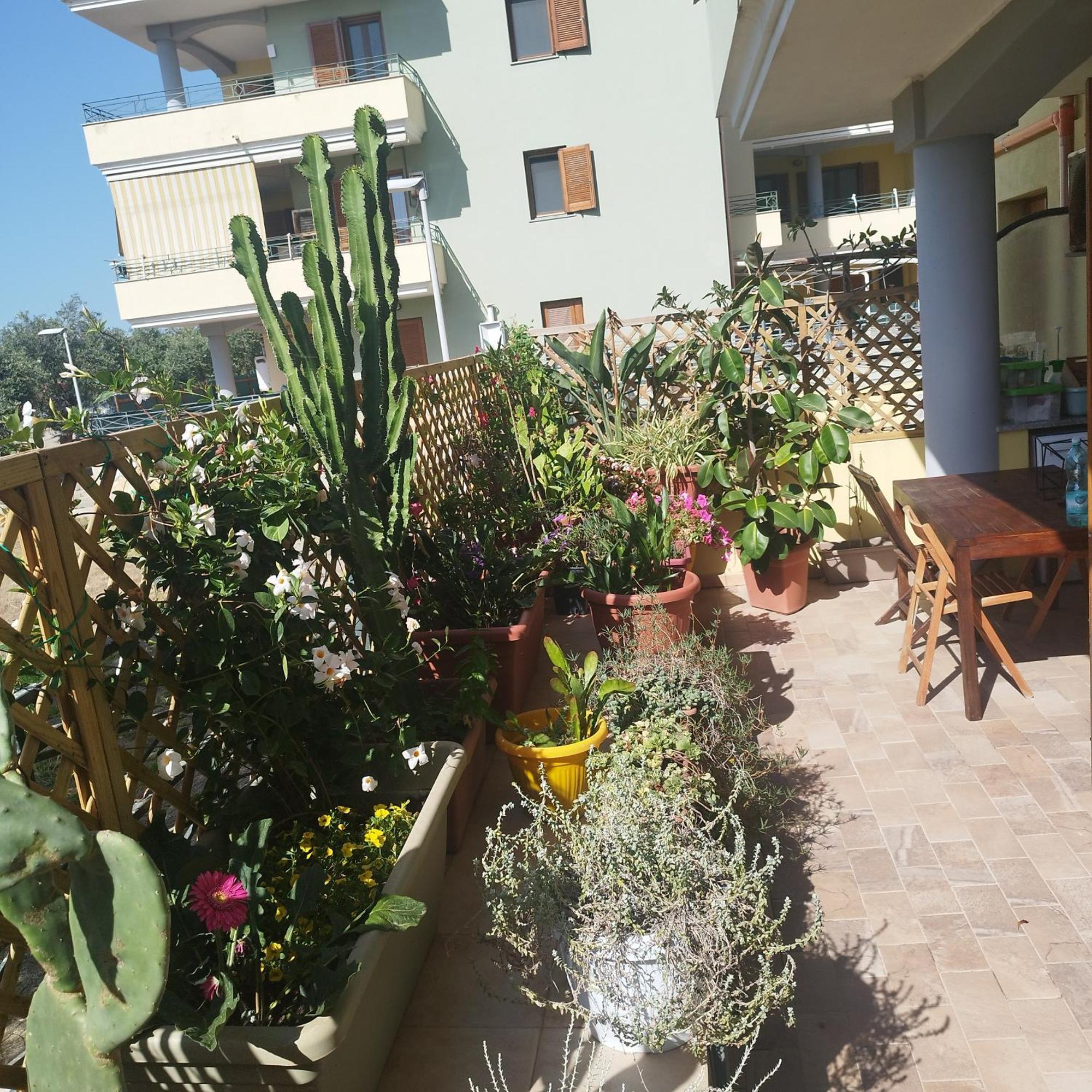Alghero Lovely Flat エクステリア 写真